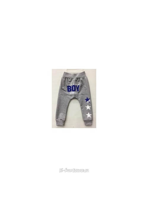 Spodnie dresowe BOY (3L-6L)