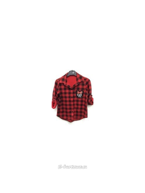 Bluzka koszula dziecięca 301716 m (4-14)