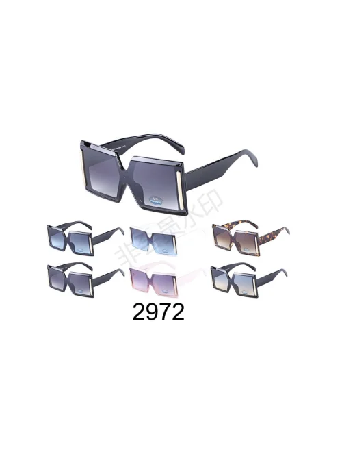 Okulary Damskie 2972