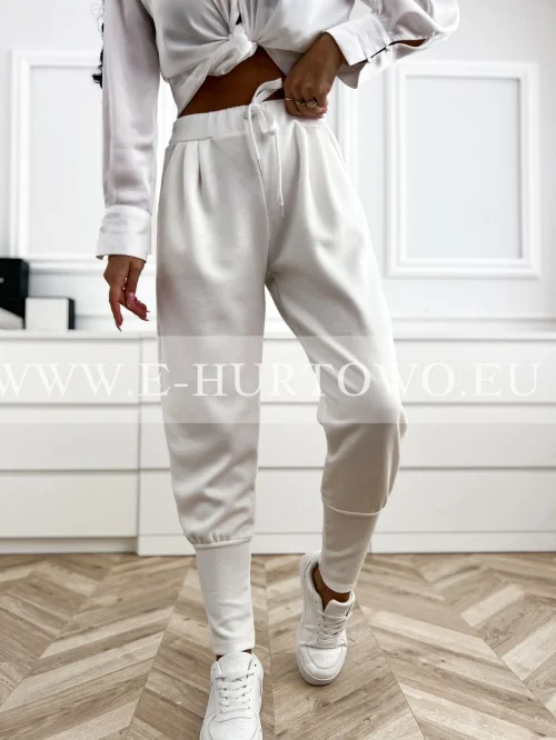 Spodnie damskie E33086